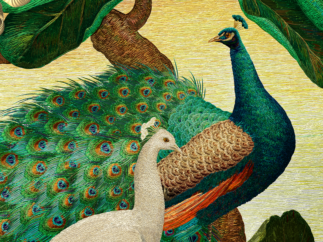 Peacocks — detail 1