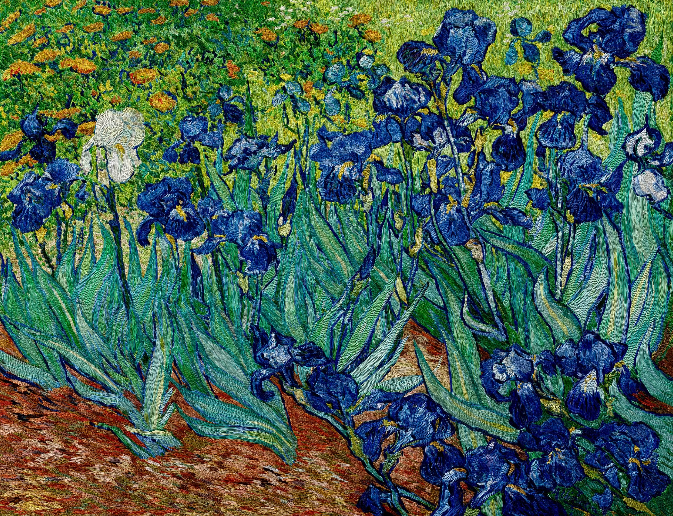 Irises