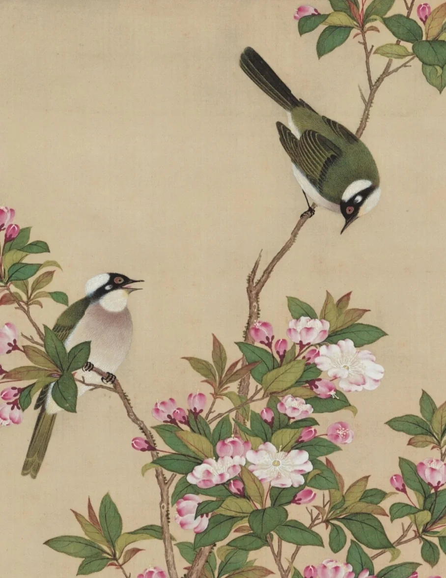 Crabapple and White-headed Bulbuls · 海棠白头, from the album 花鸟图册